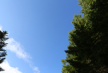 一切は　縁において生まれ　縁において在り 縁において　去ってゆく