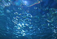 人生を結論とせず 人生に結論を求めず  人生を往生浄土の縁として生きる。 これを浄土真宗という。