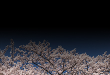 念仏には
無義をもつて
義とす