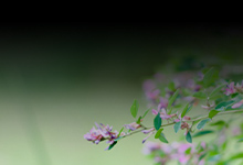 念仏とは 自己を 発見することである