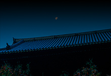 真の知識にあうことは かたきがなかになおかたし