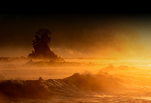 お念仏もうさるべし