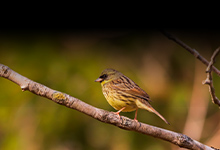 私のもとにあるものは すべて賜うたものである